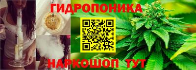 ГАЛЛЮЦИНОГЕННЫЕ ГРИБЫ Новокубанск