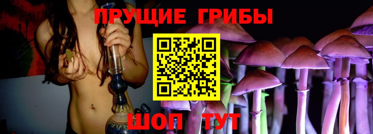 Владимир  Галлюциногенные грибы Psilocybe  Вход с VPN 